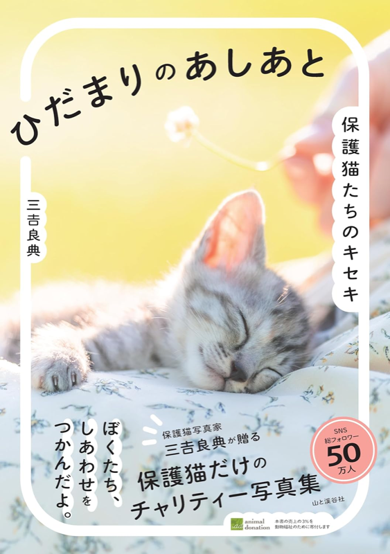 ひだまりのあしあと 保護猫たちのキセキ の書影